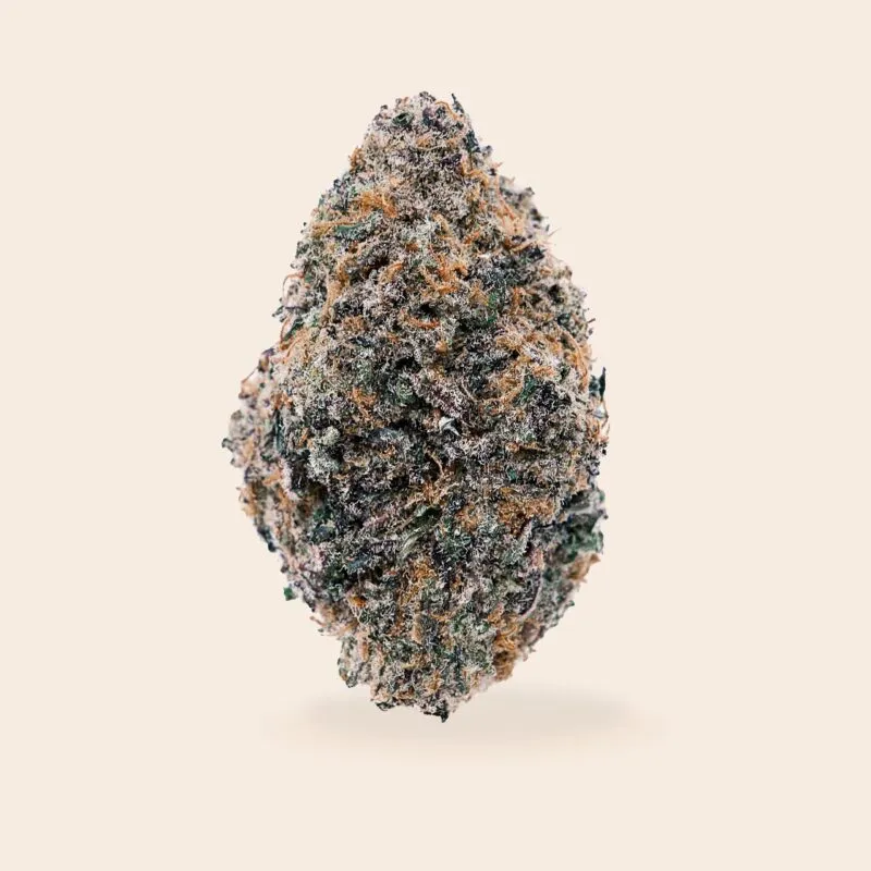 UGS 042 CREAM scaled mac