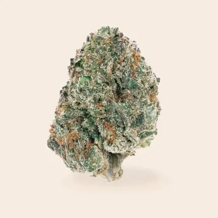 Animal Tsunami Strain