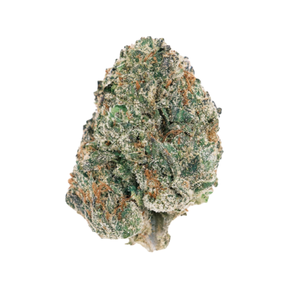 Animal Tsunami Strain