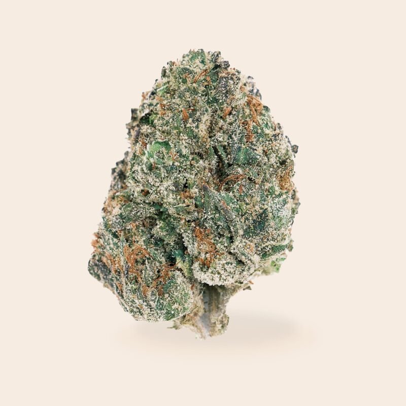 Animal Tsunami Strain