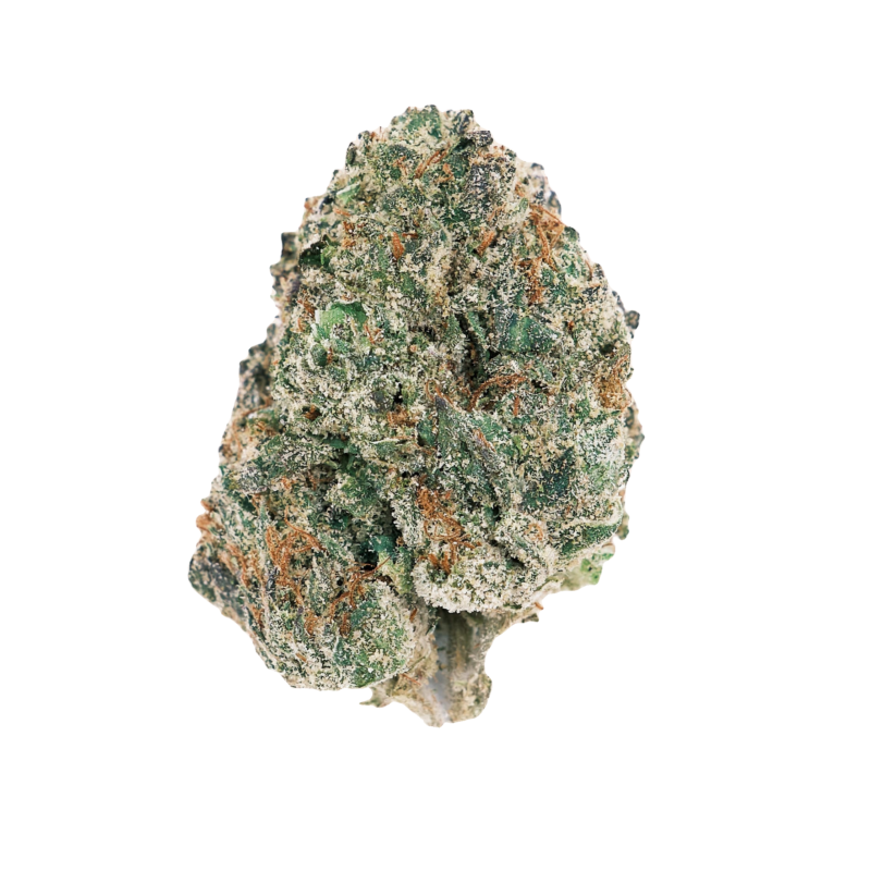 Animal Tsunami Strain