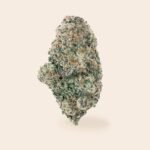 apple fritter strain