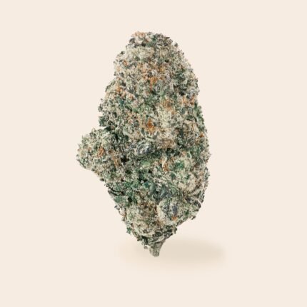 apple fritter strain