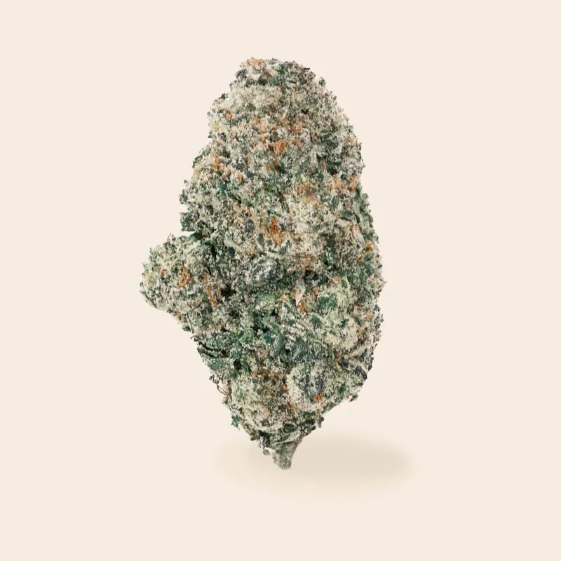 apple fritter strain